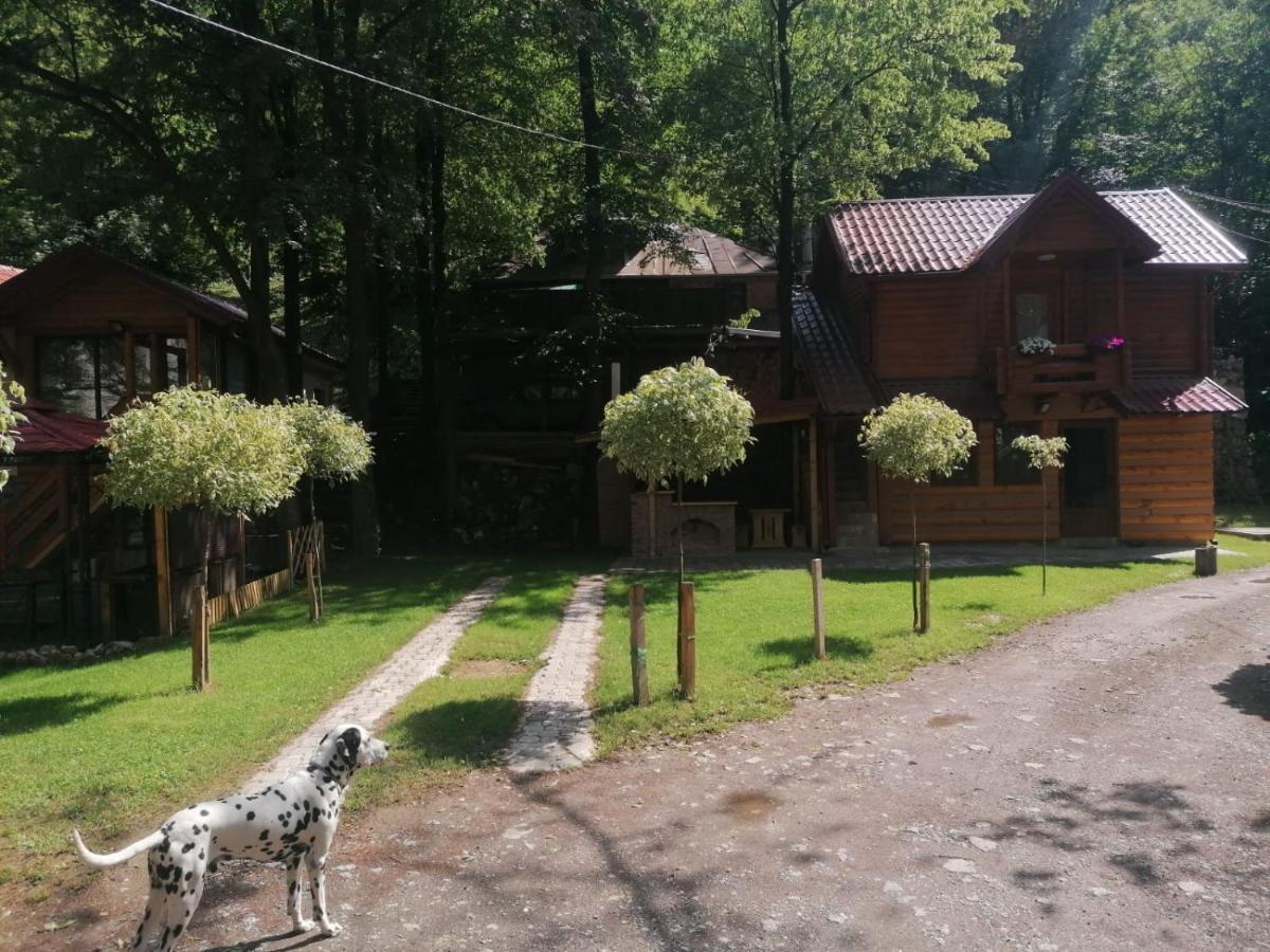 Appartement Vikendica Matovic Ovcar Banja Extérieur photo